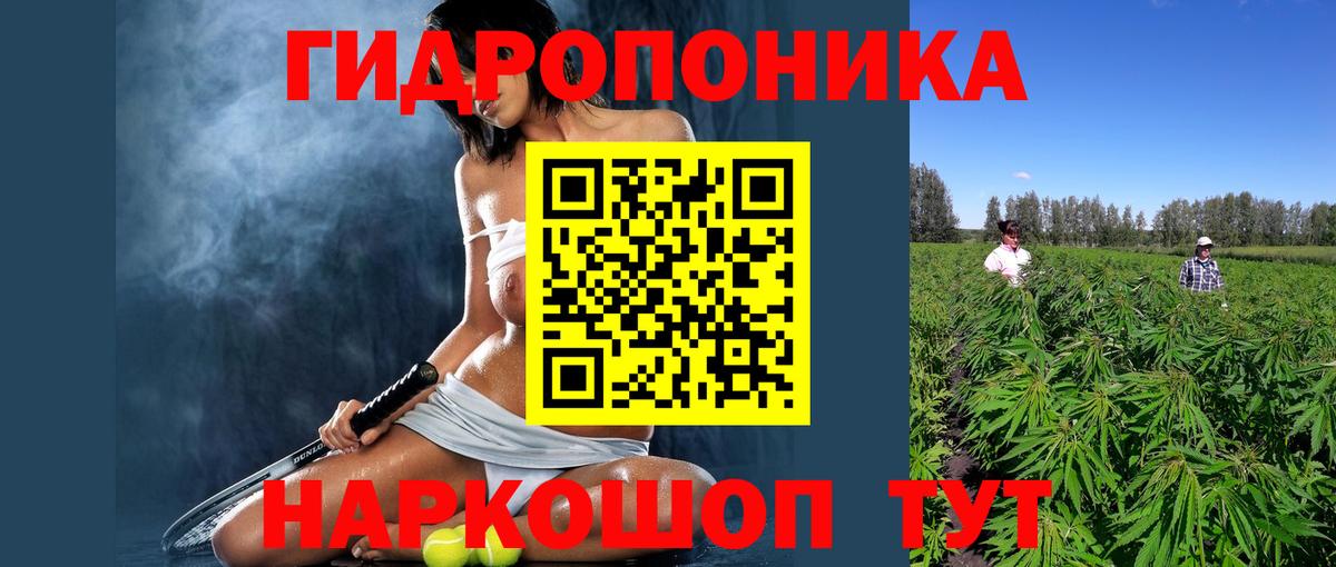 Каннабис план  Каннабис MAZAR  Вход с VPN  МАРИХУАНА MAZAR  Маркс 